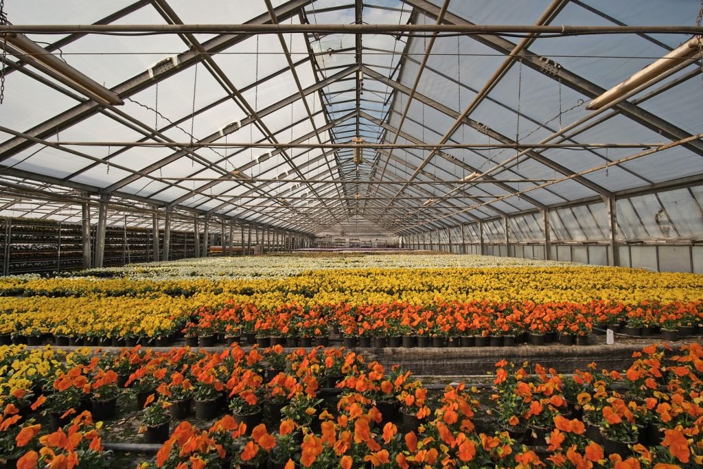 Greenhouse Climate