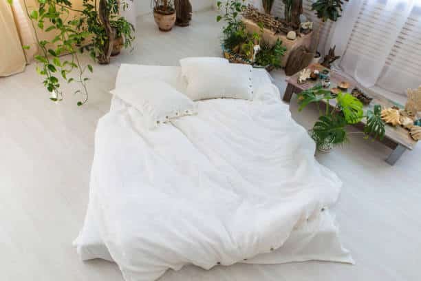 Eco-Friendly Bedding
